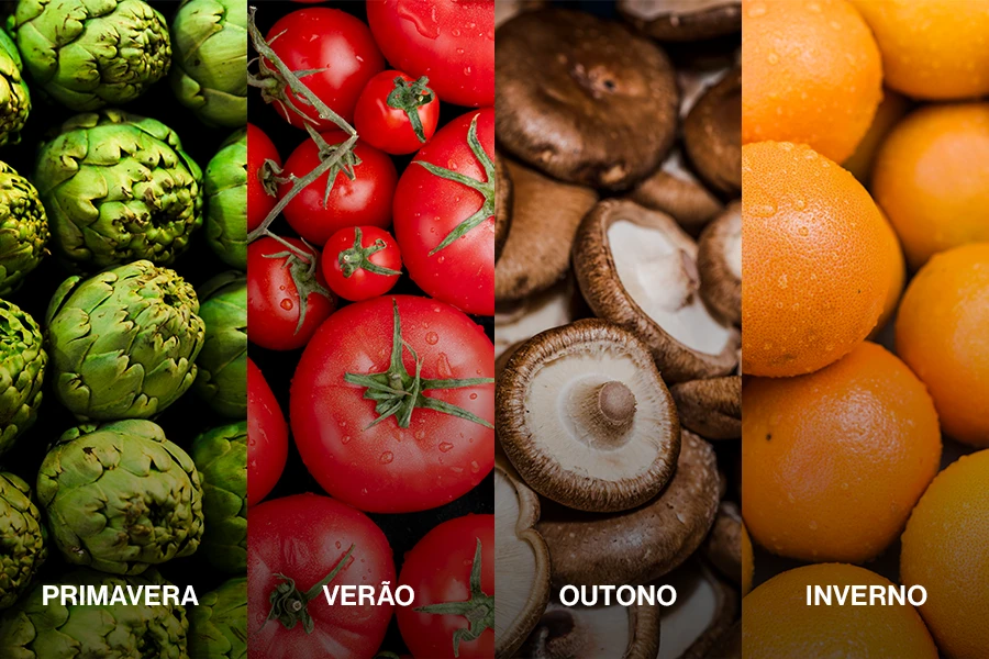 Colagem de fotos mostrando ingredientes frescos de cada estação na Itália: alcachofras na primavera, tomates no verão, cogumelos no outono, laranjas no inverno